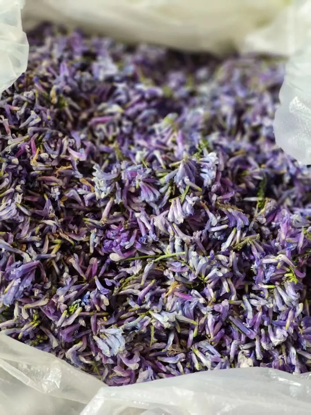 春天里的昆明“篆新农贸市场”