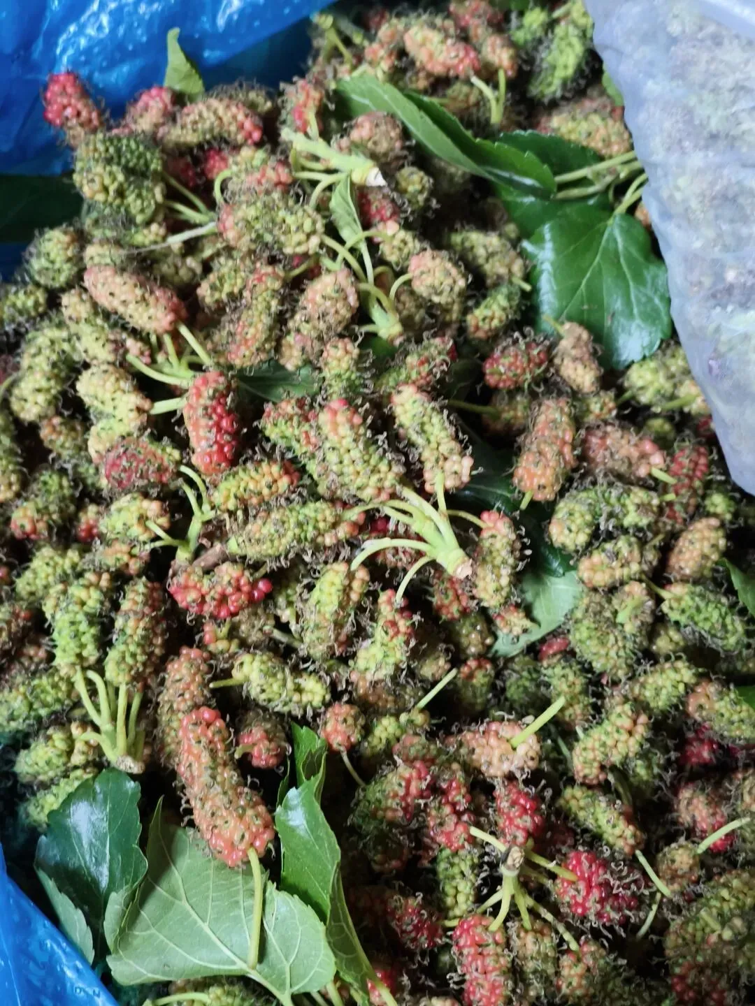 春天里的昆明“篆新农贸市场”