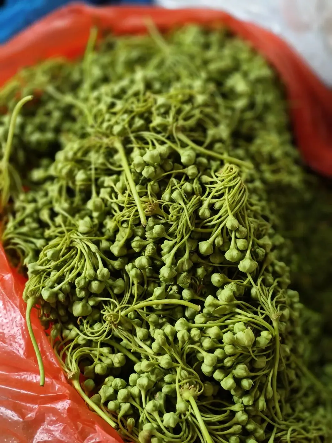 春天里的昆明“篆新农贸市场”