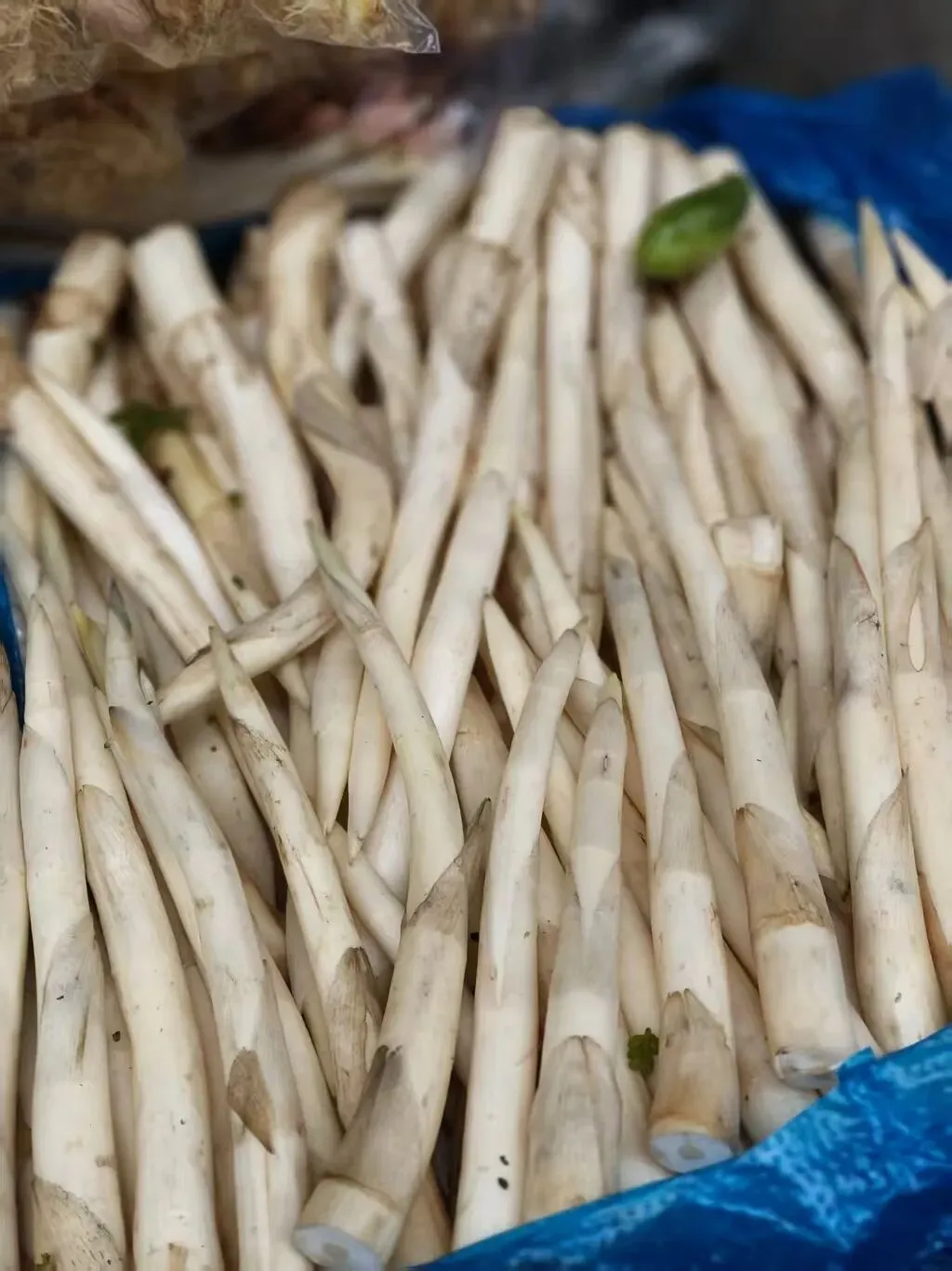 春天里的昆明“篆新农贸市场”