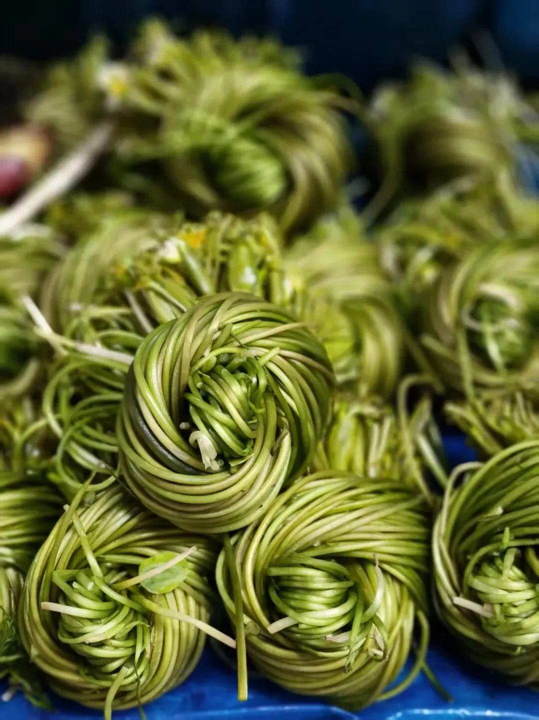 春天里的昆明“篆新农贸市场”