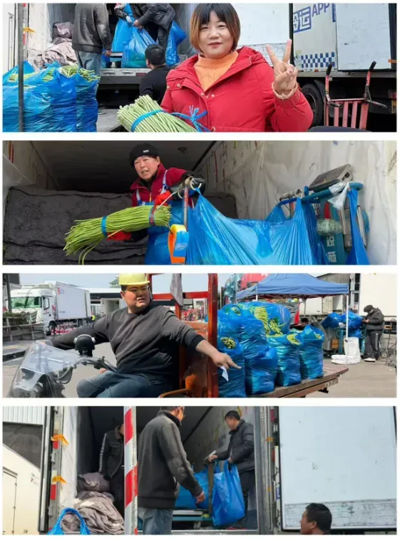 市场:散花菜、豇豆迎来上涨行情,菜价整体稳定(上海江桥市场周报)