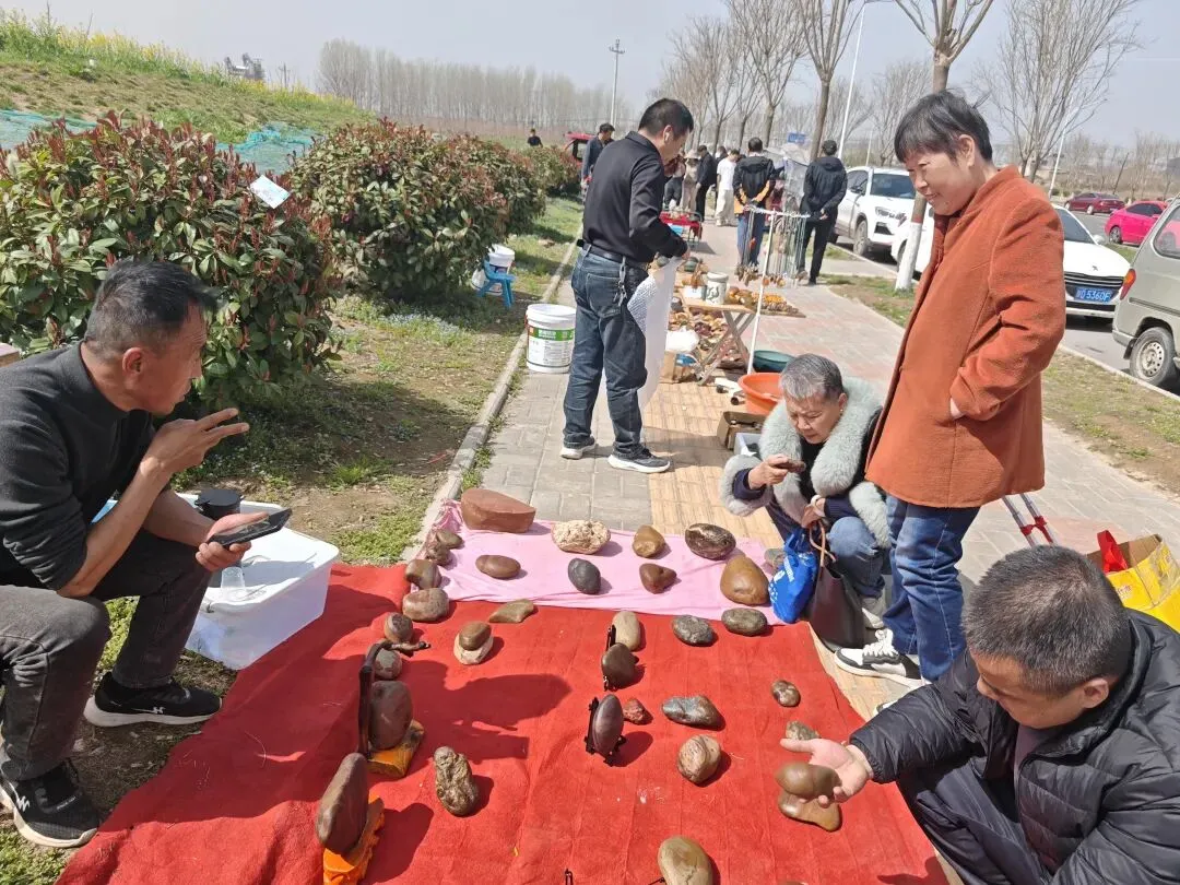西安周边游||行走泾阳,逛泾河大道石头市场,去太平镇孙家堡村看杏花,与春天来一场约会!