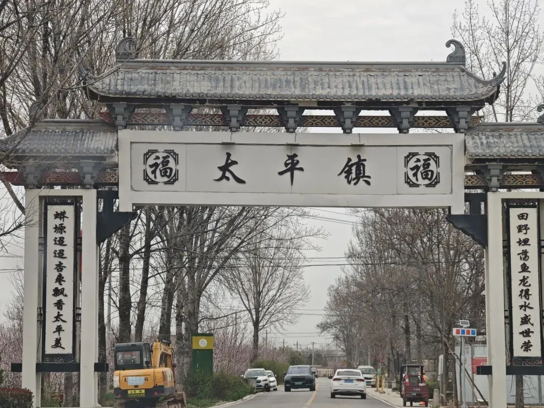 西安周边游||行走泾阳,逛泾河大道石头市场,去太平镇孙家堡村看杏花,与春天来一场约会!