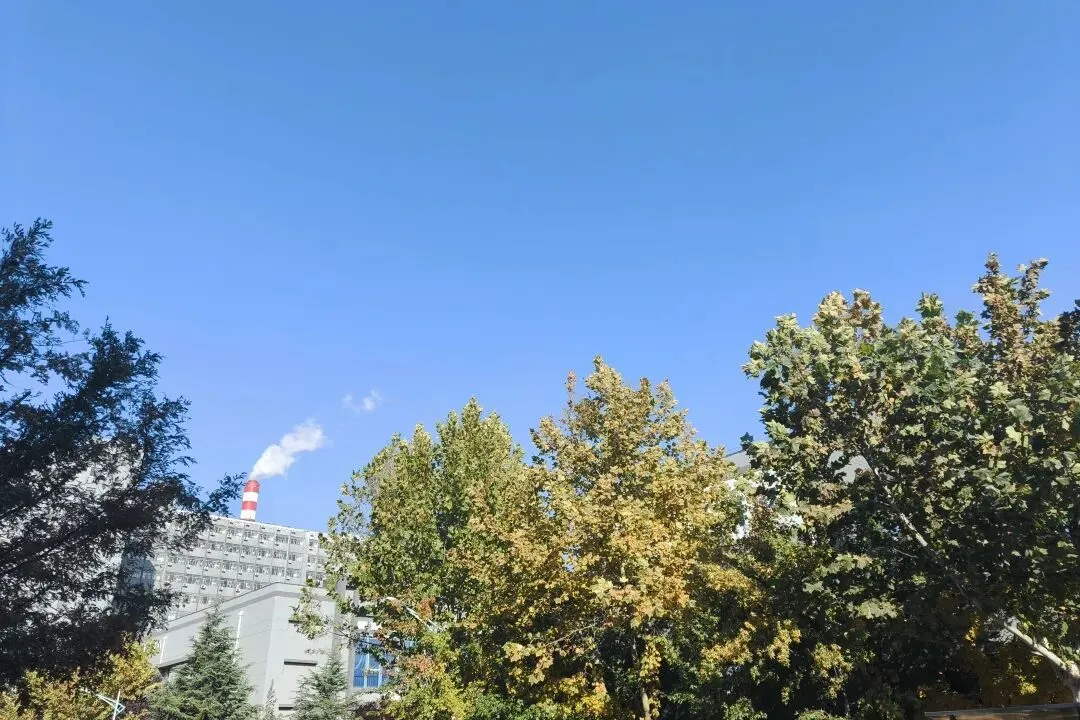 大连人才市场3月22日招聘,日结,长期,国企,外企!