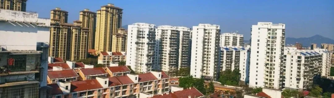 厦门市场蓝莓降价了!但这种果专家不建议买!