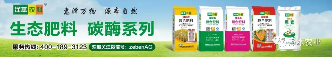 生态为魂,营销为翼