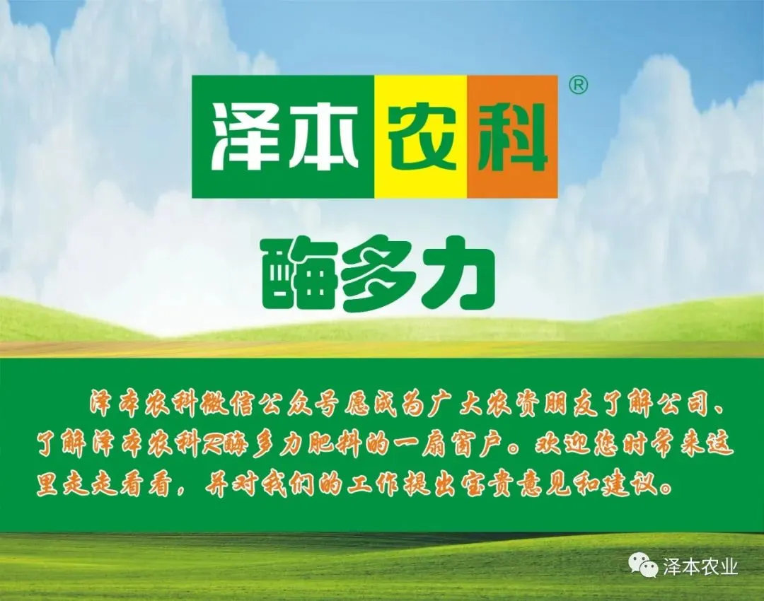 生态为魂,营销为翼