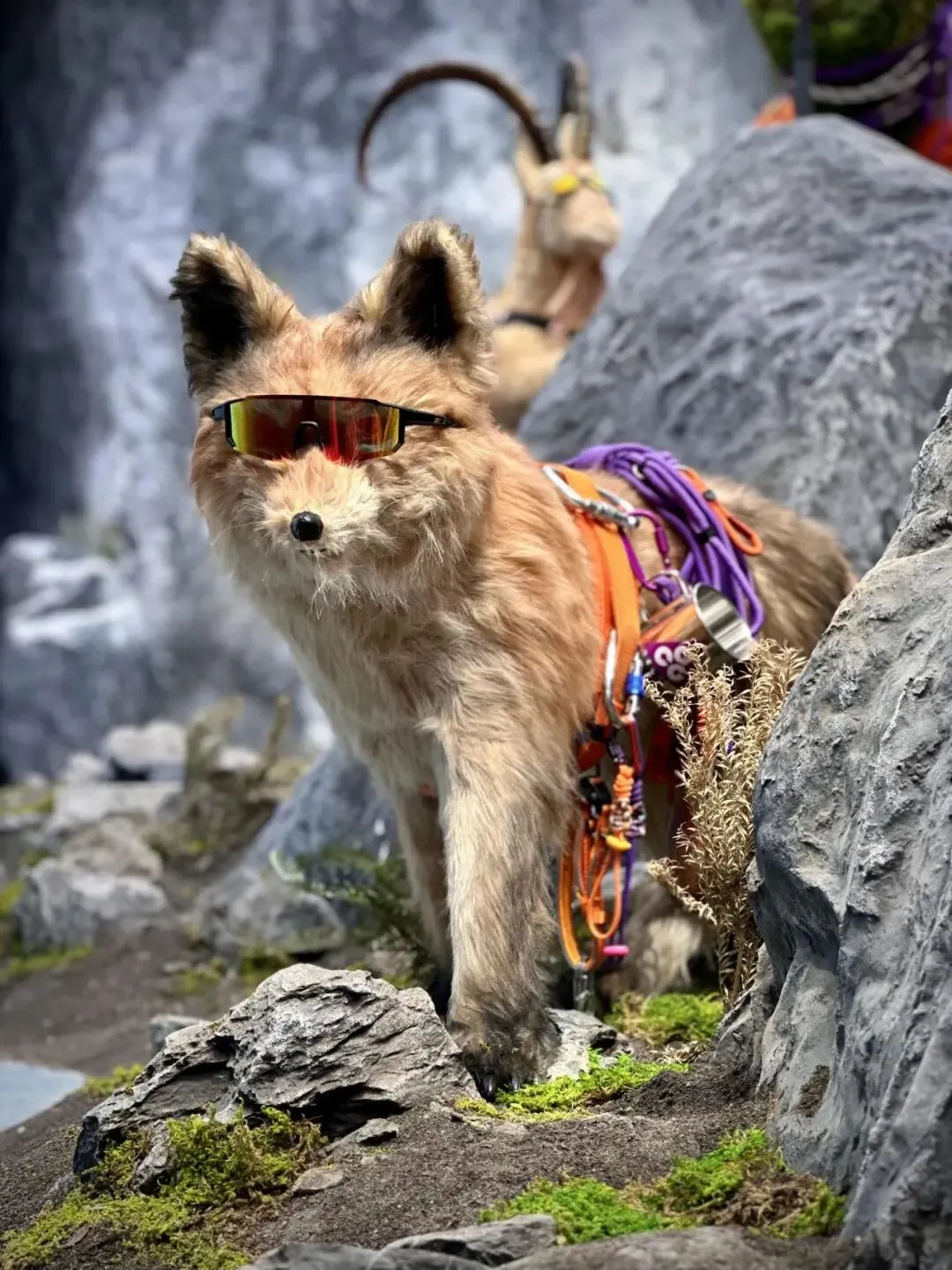 ACG无厘头的营销方式:山顶可能很臭