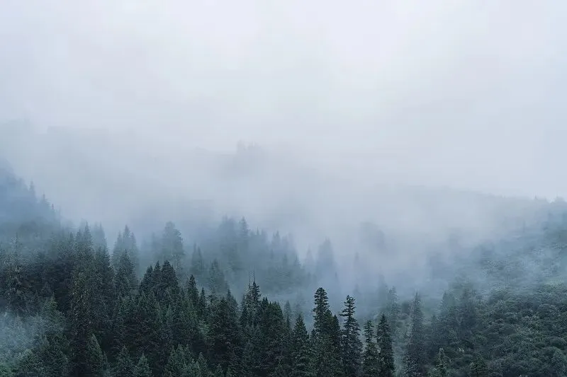 2026高维电子烟市场:合规、技术与全球化的三重博弈