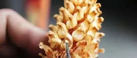 县市场监管局开展节前特种设备安全检查