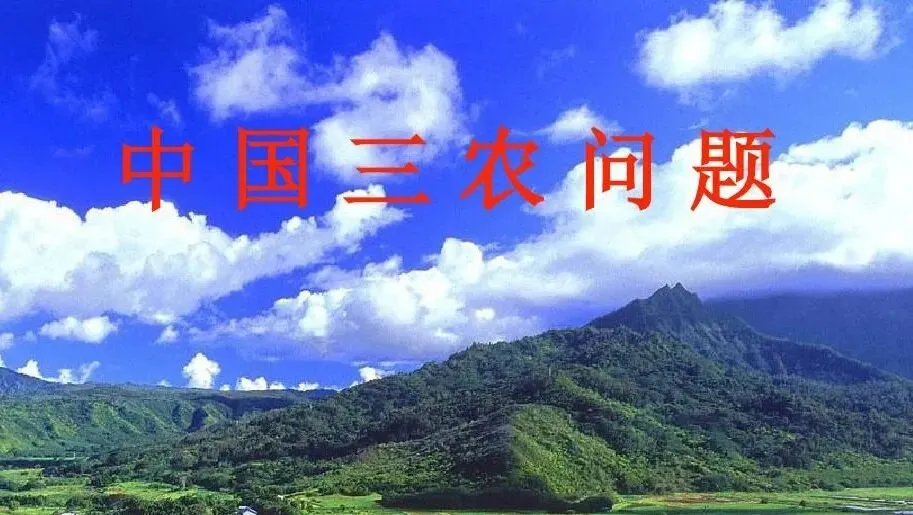 “社会主义”与“市场经济”分别是制定三农政策的战略性与战术性方向