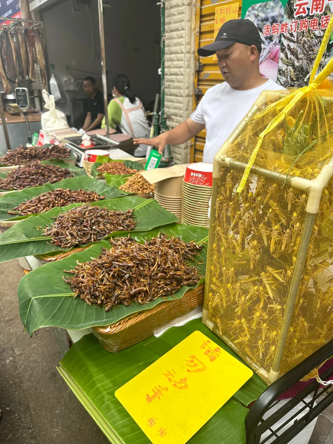 【两大菜市场】三源里 vs 篆新市场完胜国内绝大多数超市,高手为啥一直是在民间?