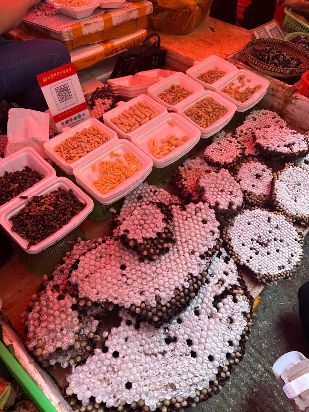 【两大菜市场】三源里 vs 篆新市场完胜国内绝大多数超市,高手为啥一直是在民间?