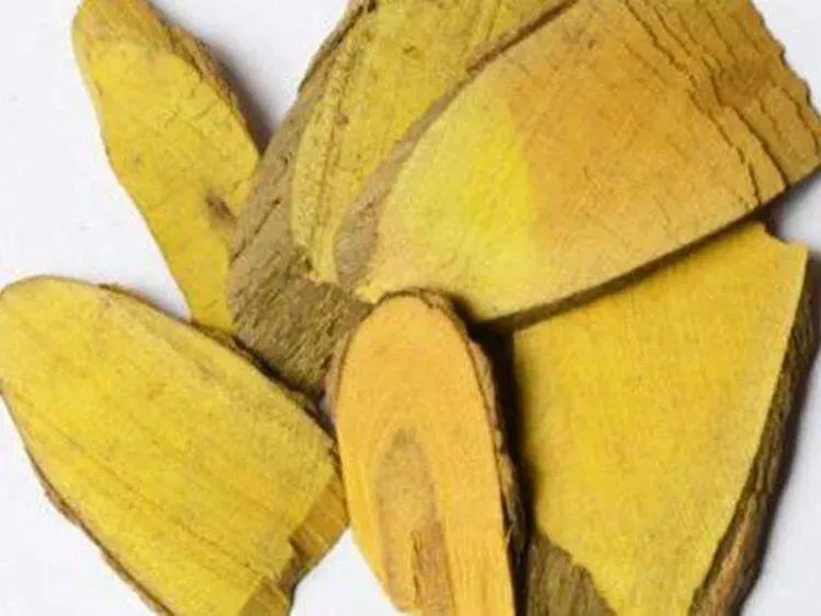 十大功劳研究:药用价值深度挖掘与市场潜力分析