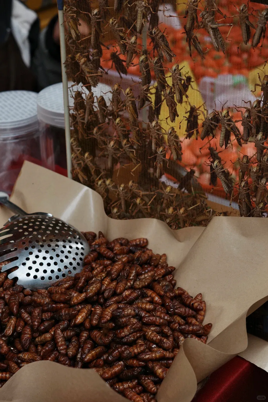 【两大菜市场】三源里 vs 篆新市场完胜国内绝大多数超市,高手为啥一直是在民间?