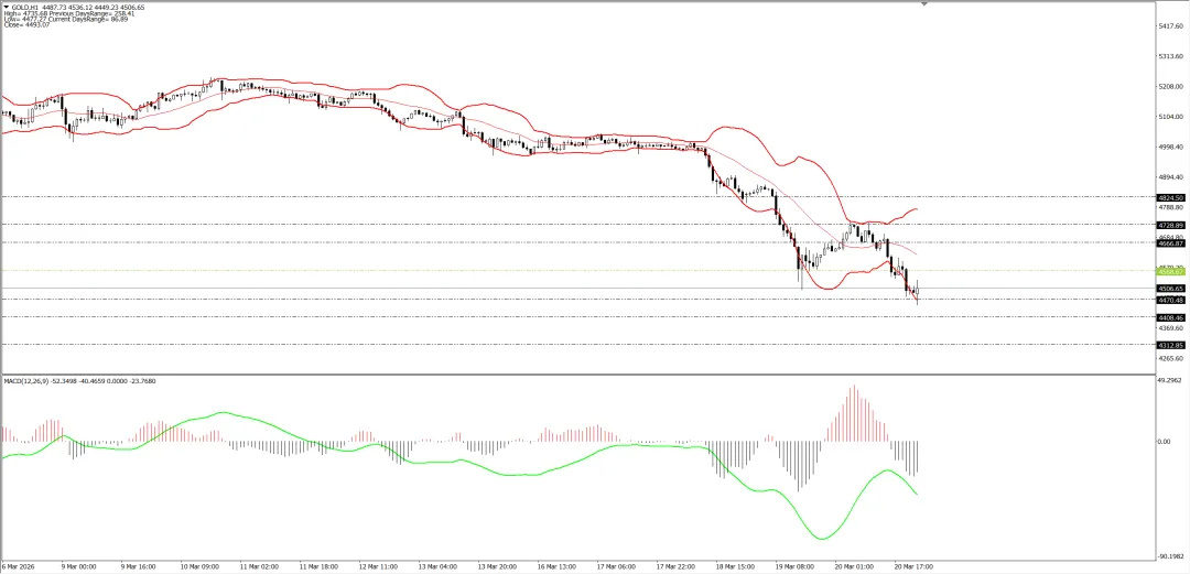 外汇市场分析20260323