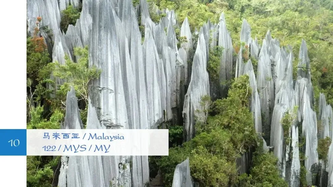 2025中国前10大出口市场