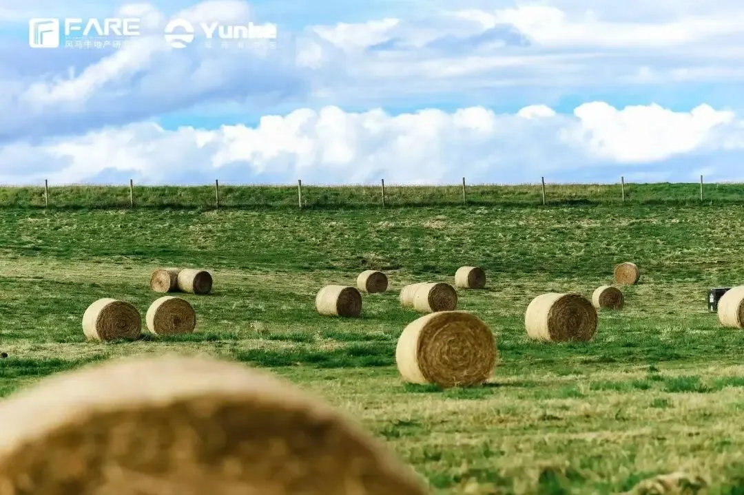 在慢市场,如何做好长期主义|新西兰特训营回顾