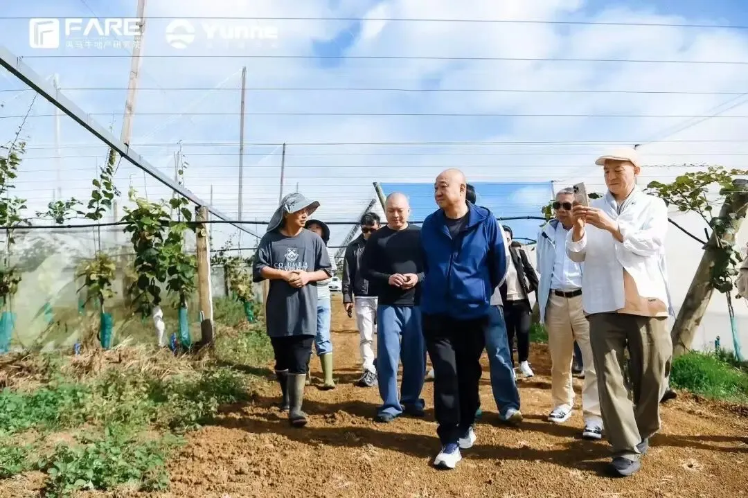 在慢市场,如何做好长期主义|新西兰特训营回顾