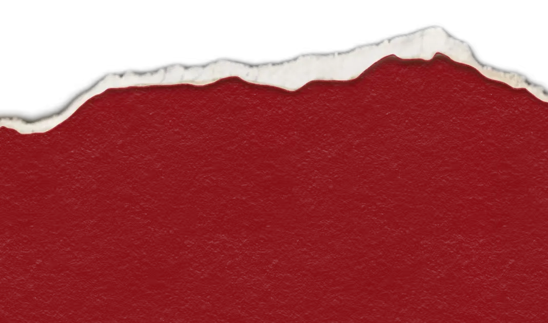 市场浪潮中的“她力量”——记恒顺包装营销中心党员裴华萍