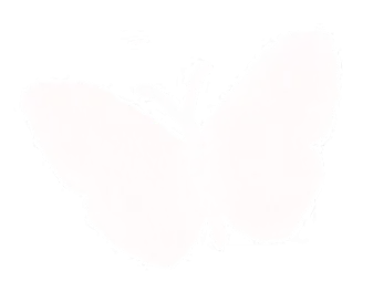 市场浪潮中的“她力量”——记恒顺包装营销中心党员裴华萍