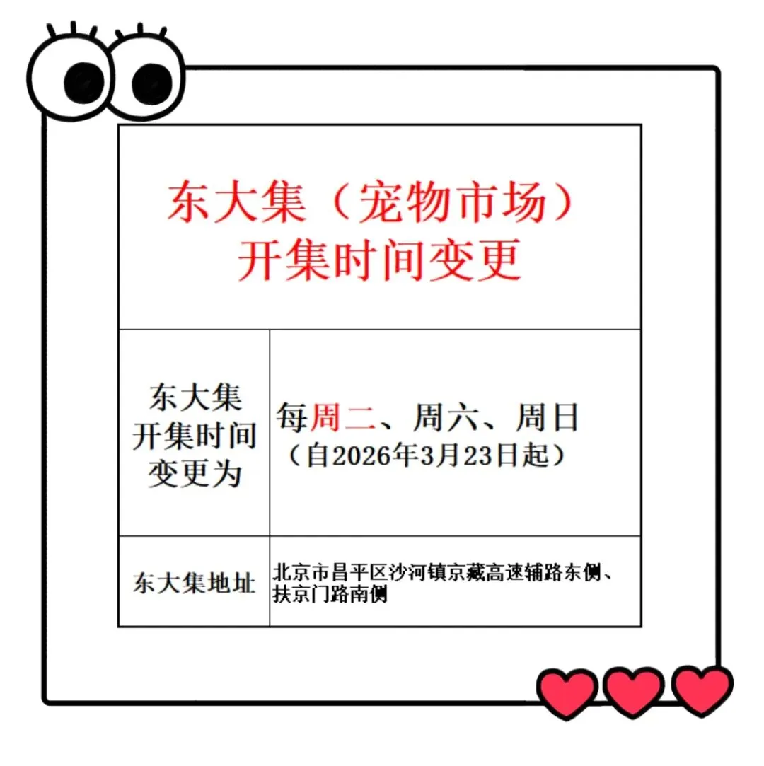 沙河南一鸽鸟集市微信公众号请您关注市场信息!!!