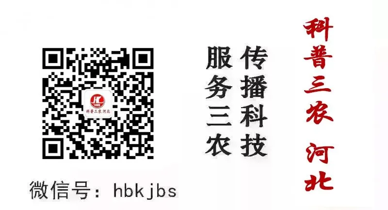 【市场】复合肥价格持续上涨