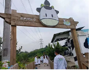 2026单招季 | 文化管理系之市场营销专业报考指南