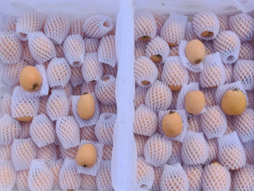 【市场动态】北京新发地春日水果一口尝鲜正当时