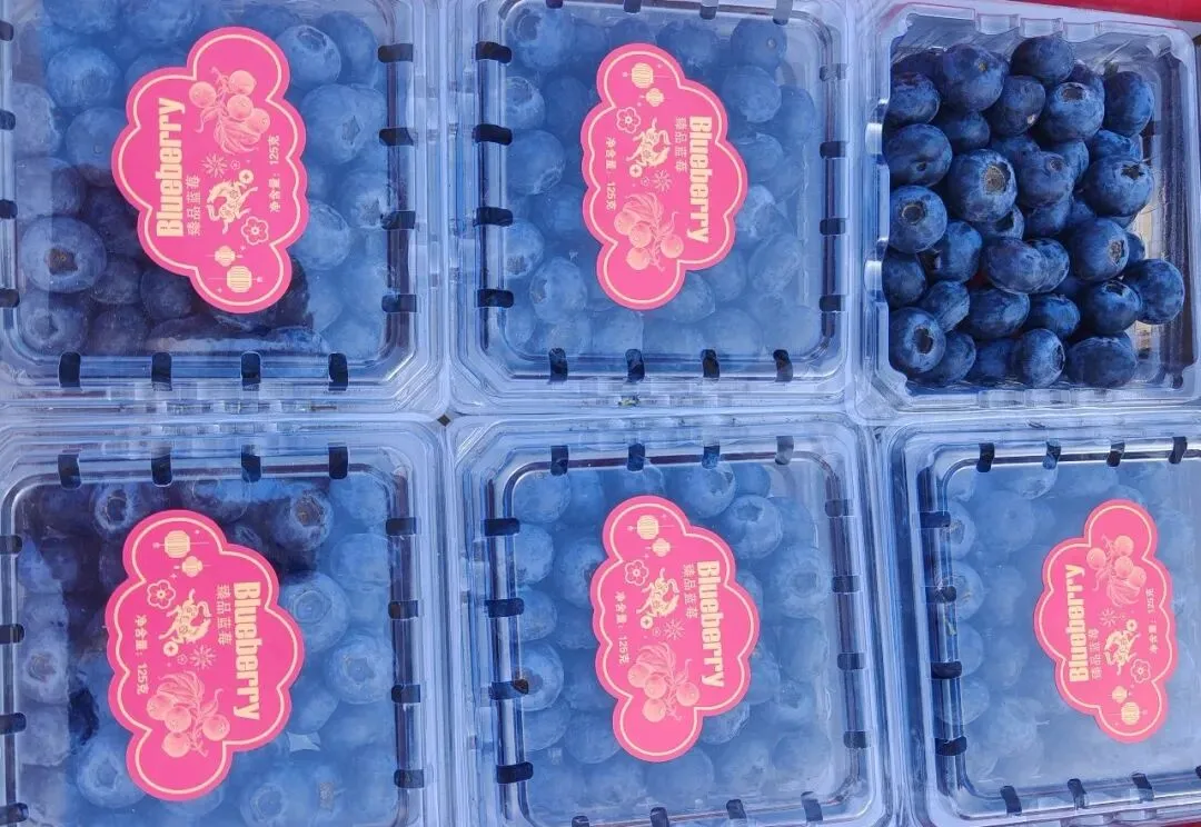 【市场动态】北京新发地春日水果一口尝鲜正当时