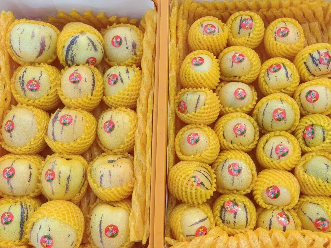 【市场动态】北京新发地春日水果一口尝鲜正当时