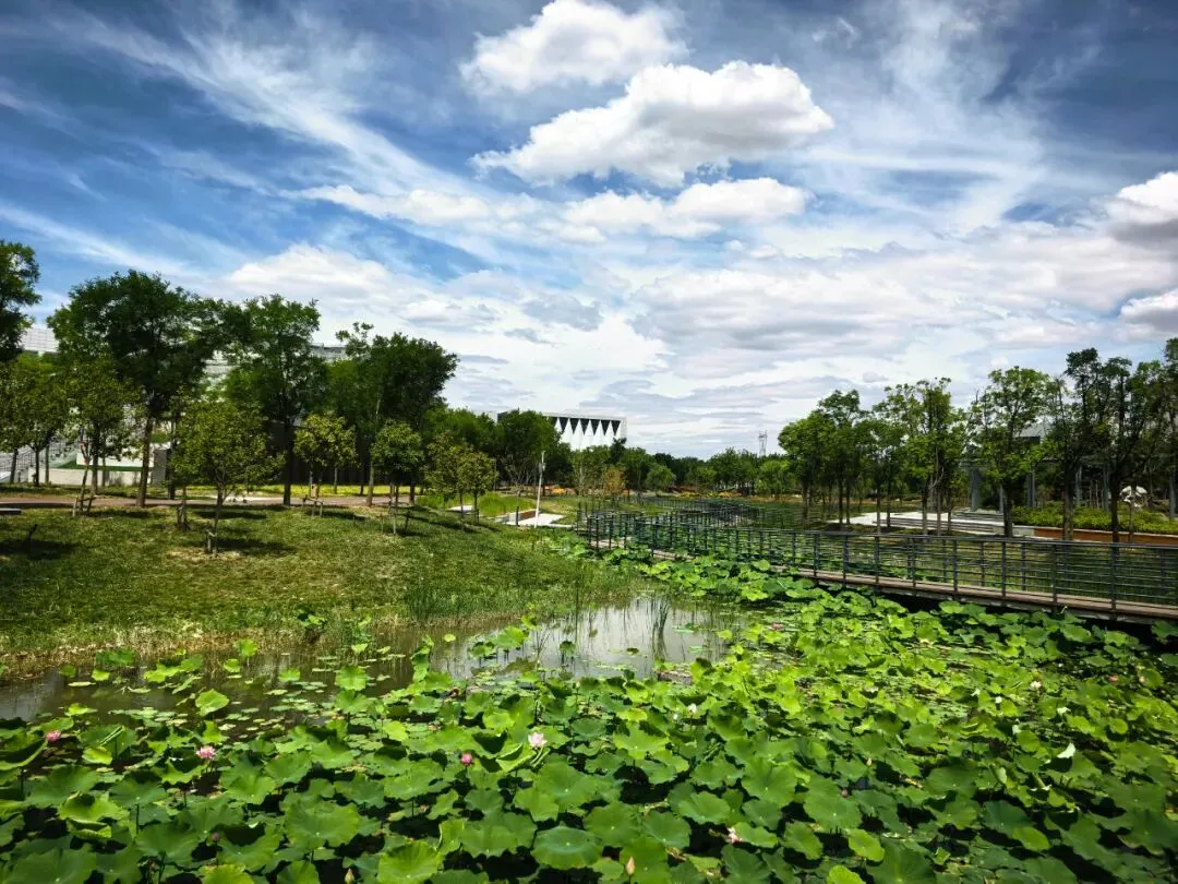 聊城大学东昌学院计算机科学与技术专业欢迎你!