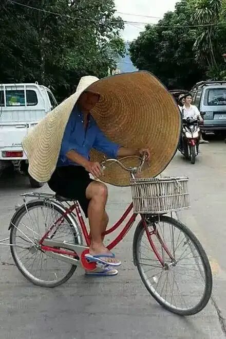 搞笑经典海鲜市场爆笑笑话,上幼儿园的时候不肯去上学于是爸爸对我说!