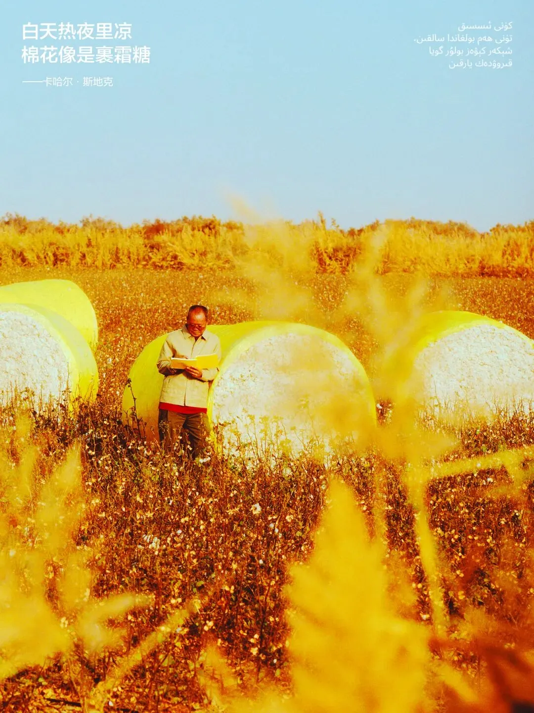 品牌营销动向(一)「蕉内新文案是棉花工人写的!」