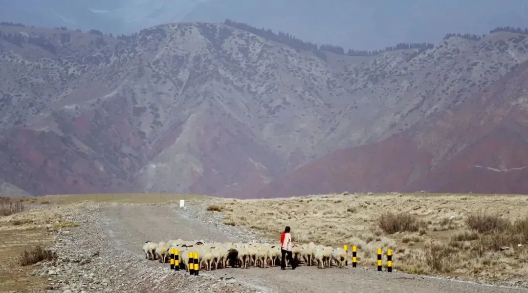 品牌营销动向(一)「蕉内新文案是棉花工人写的!」