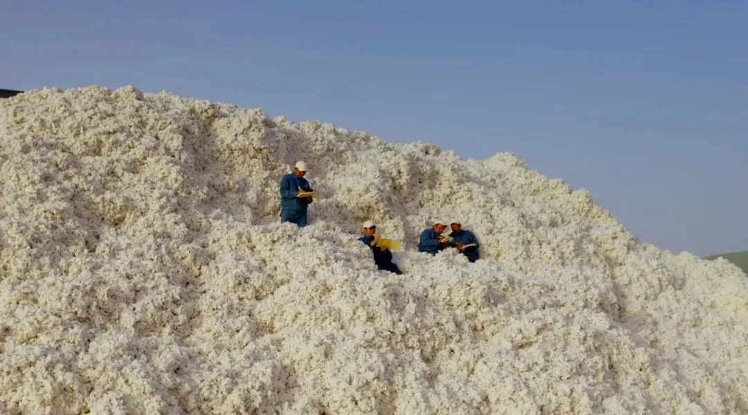 品牌营销动向(一)「蕉内新文案是棉花工人写的!」