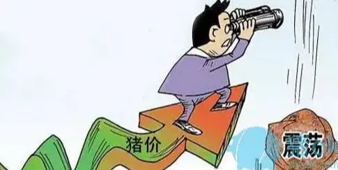 生猪市场“寒冬”何时了?政策托底能否催生猪价拐点?