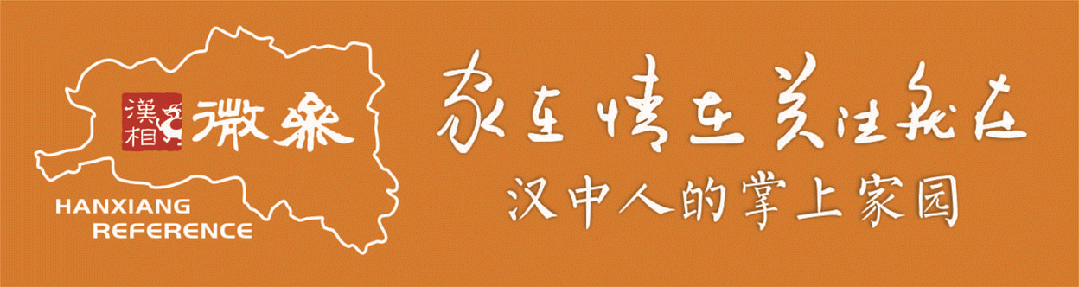 黑米、乌鸡、油菜花……如何更好地营销汉中物产?