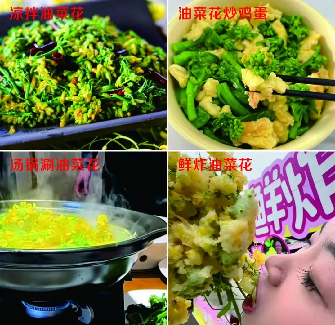 黑米、乌鸡、油菜花……如何更好地营销汉中物产?