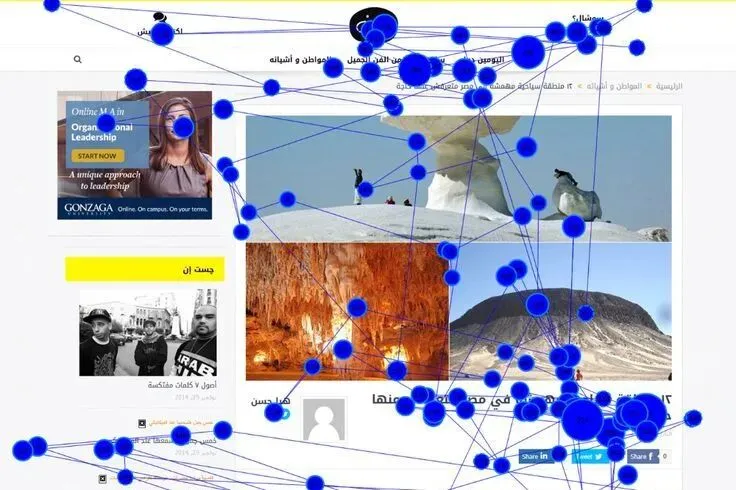 文献研读|大数据营销:综述与展望