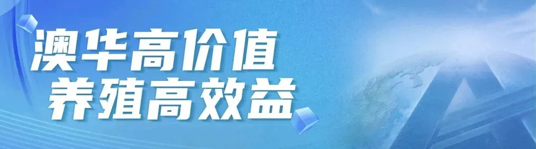 【馆陶粉蛋涨4】26年3月23日主流市场及蛋商报价