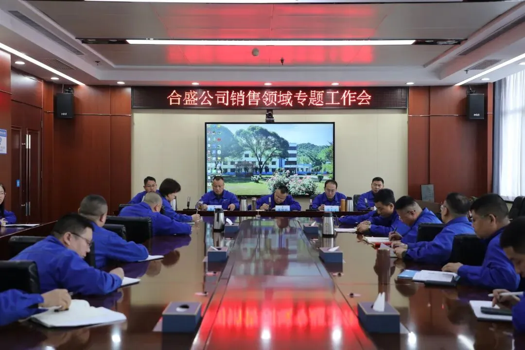 合盛公司召开销售领域专题工作会