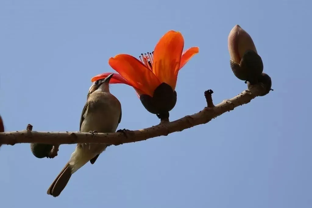 3月16日~3月20日市场点评