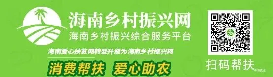计算机技术与软件资格&高级经济师考试,报名→