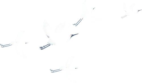 花园路晋中汇隆市场2026年3月23日价格动态