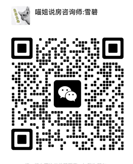 新政后,上海豪宅市场再次上演现象级认筹现象!