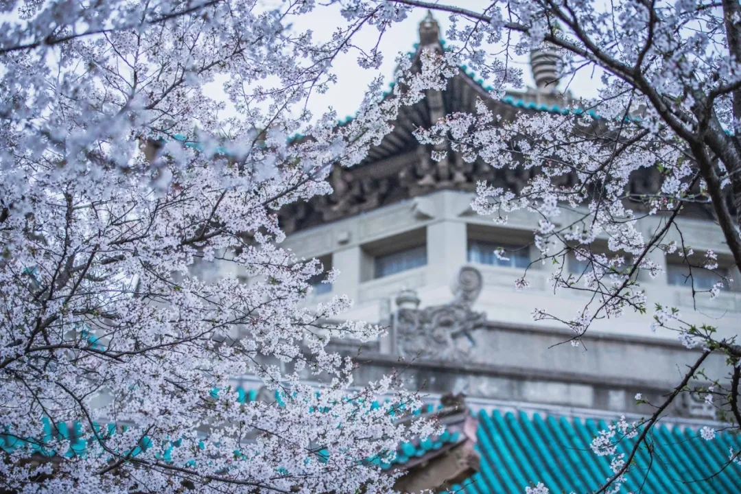 新闻 | 武汉大学资本市场法治研究中心第47期“半月谈”成功举行