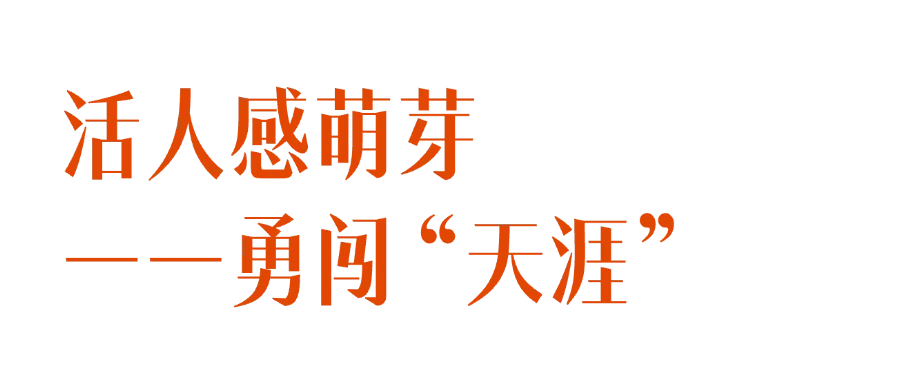 月薪2k工作没保住,帮IP靠“活人感营销“变现百万,我做对了什么?