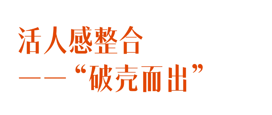 月薪2k工作没保住,帮IP靠“活人感营销“变现百万,我做对了什么?